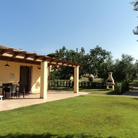 Agriturismo Dallolivo Bolgheri Luaran gambar