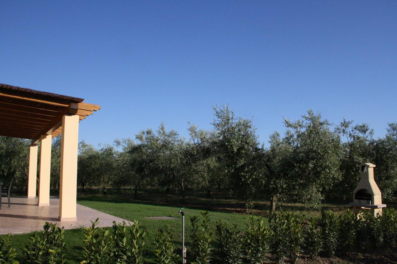 Agriturismo Dallolivo Bolgheri Luaran gambar
