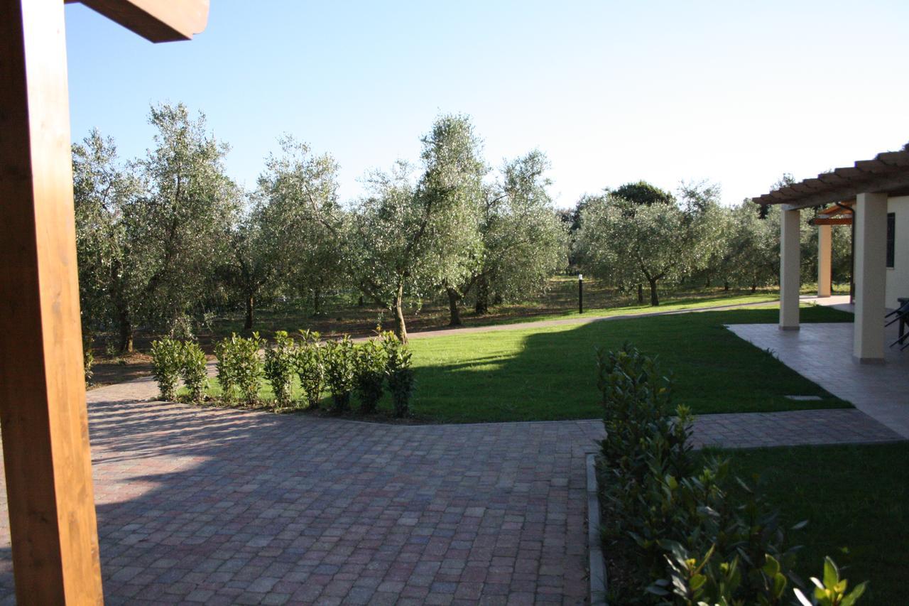 Agriturismo Dallolivo Bolgheri Luaran gambar