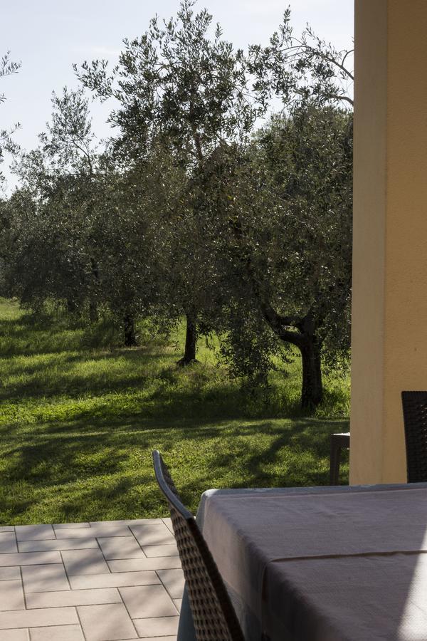 Agriturismo Dallolivo Bolgheri Luaran gambar